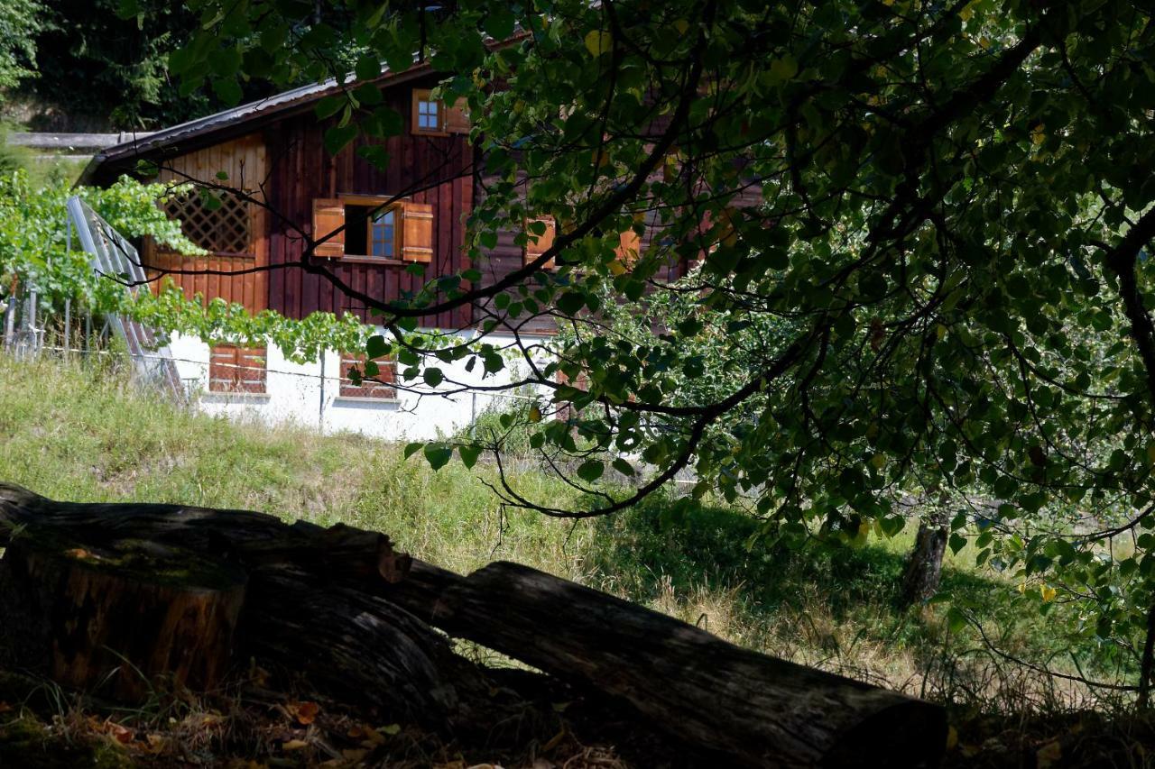 Ferienwohnung Landhaus Tenne Bartholomäberg Exterior foto